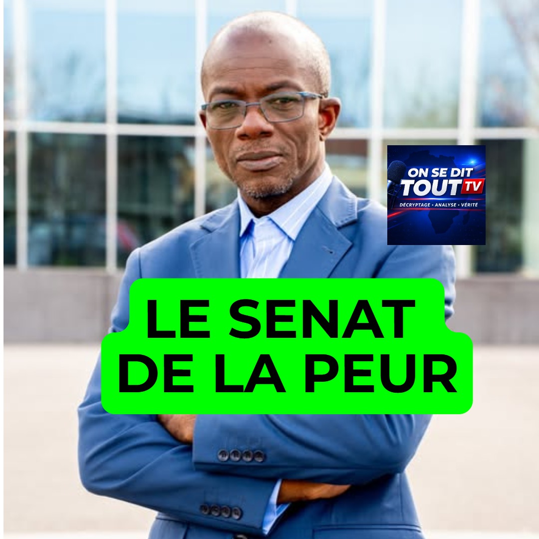 djenontin_2024_V1